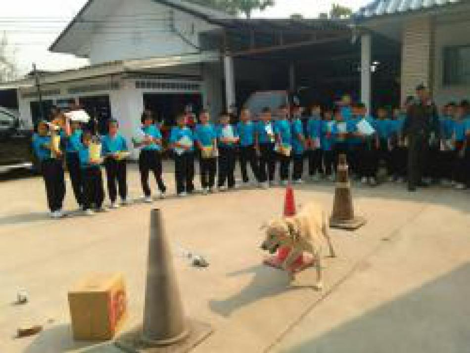 กิจกรรมโครงการครูdare ประจำปี 2561(จำนวน 8 ภาพ)